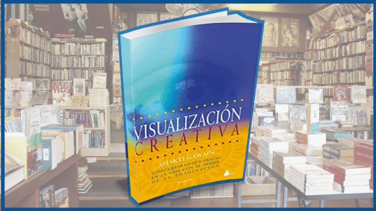 Resumen libro visualizacion creativa